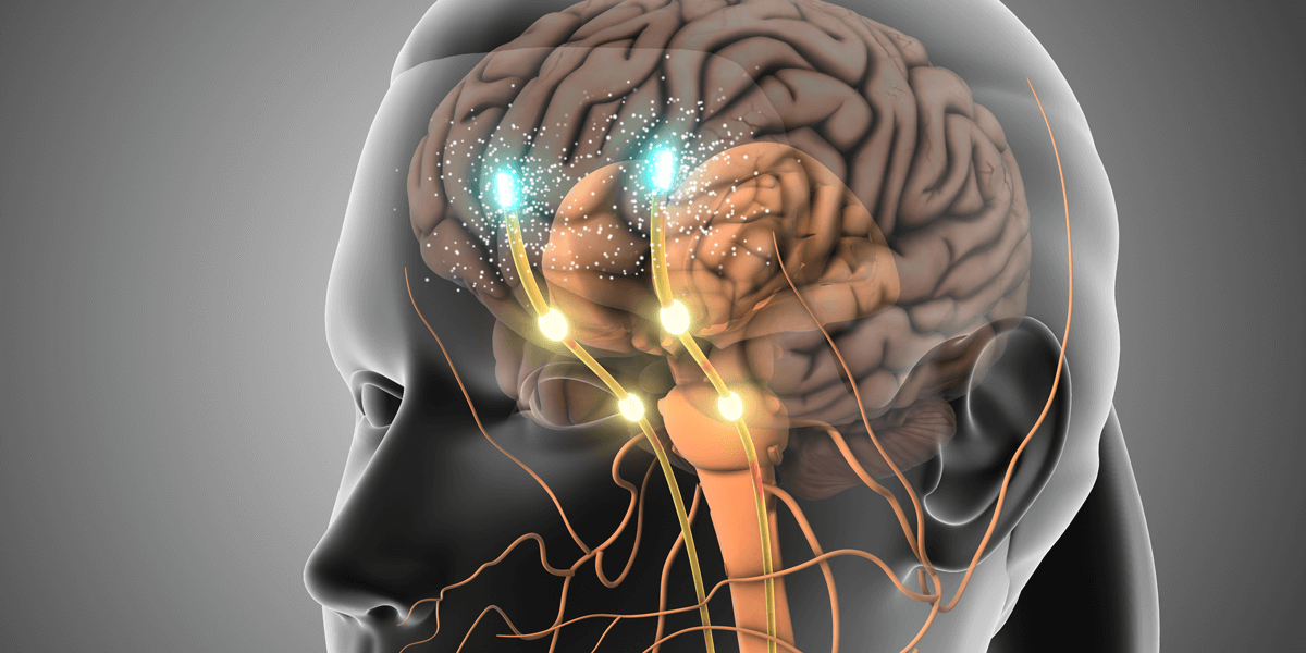 Dopamine lighting up in the brain